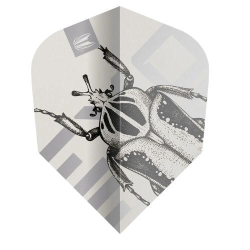 Attached to variant: image