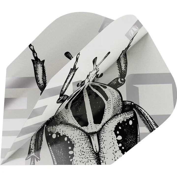 Attached to variant: image