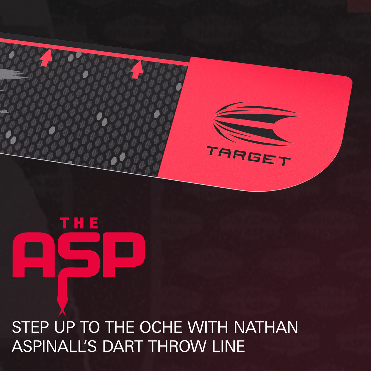 Target - Nathan Aspinall Throw Line