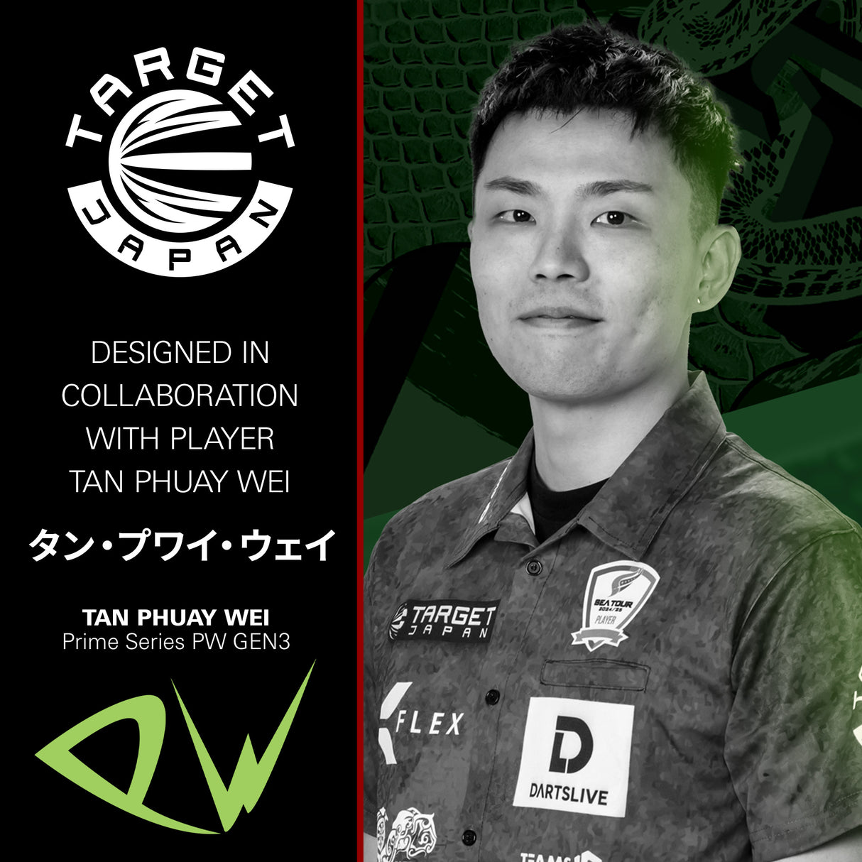 Target Japan PW G3 Darts