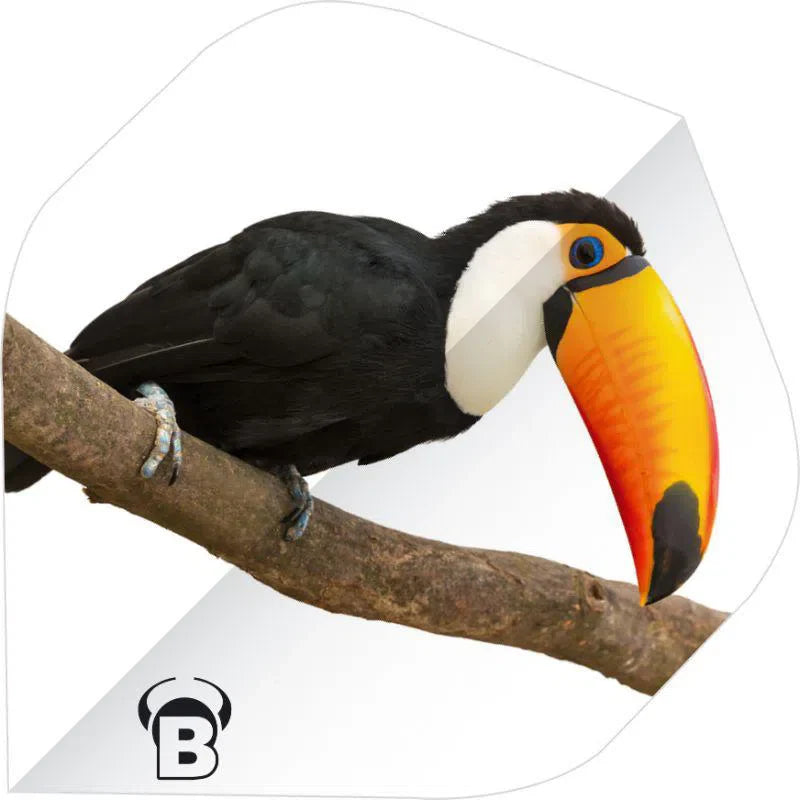 A-shape dart flight featuring vibrant toucan bird design, full product view isolated on white, clear pattern detail