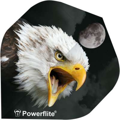 Close-up of No.2 dart flight with bold eagle and moon design, isolated for dartboard accuracy and flight shape detail
