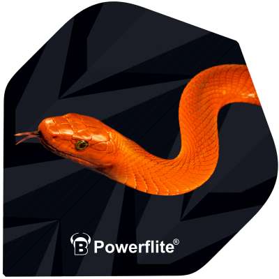Close-up full view of dart flight with vivid orange Mamba snake design and Powerflite logo on angular black pattern