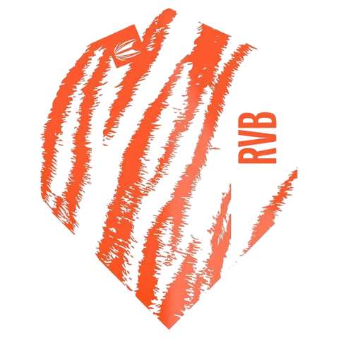 Close-up of single No.2 dart flight with orange tiger-stripe pattern and RVB text, isolated on white background