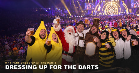 Darts fans in fancy dress, including banana, Santa, lederhosen, beer bottle, bumblebee and penguin costumes, cheering in the crowd at a darts night