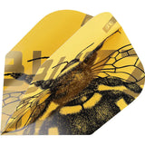 Attached to variant: image