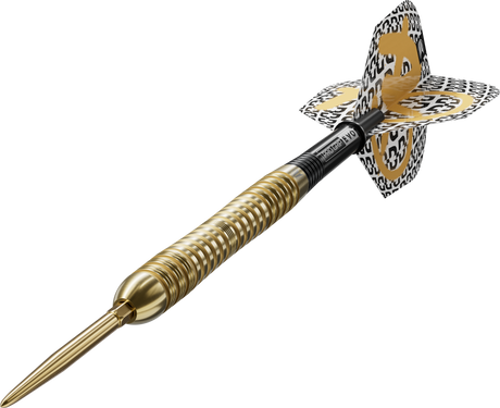 Target - Bolide Envy 04 - 90% Tungsten Darts (SP)