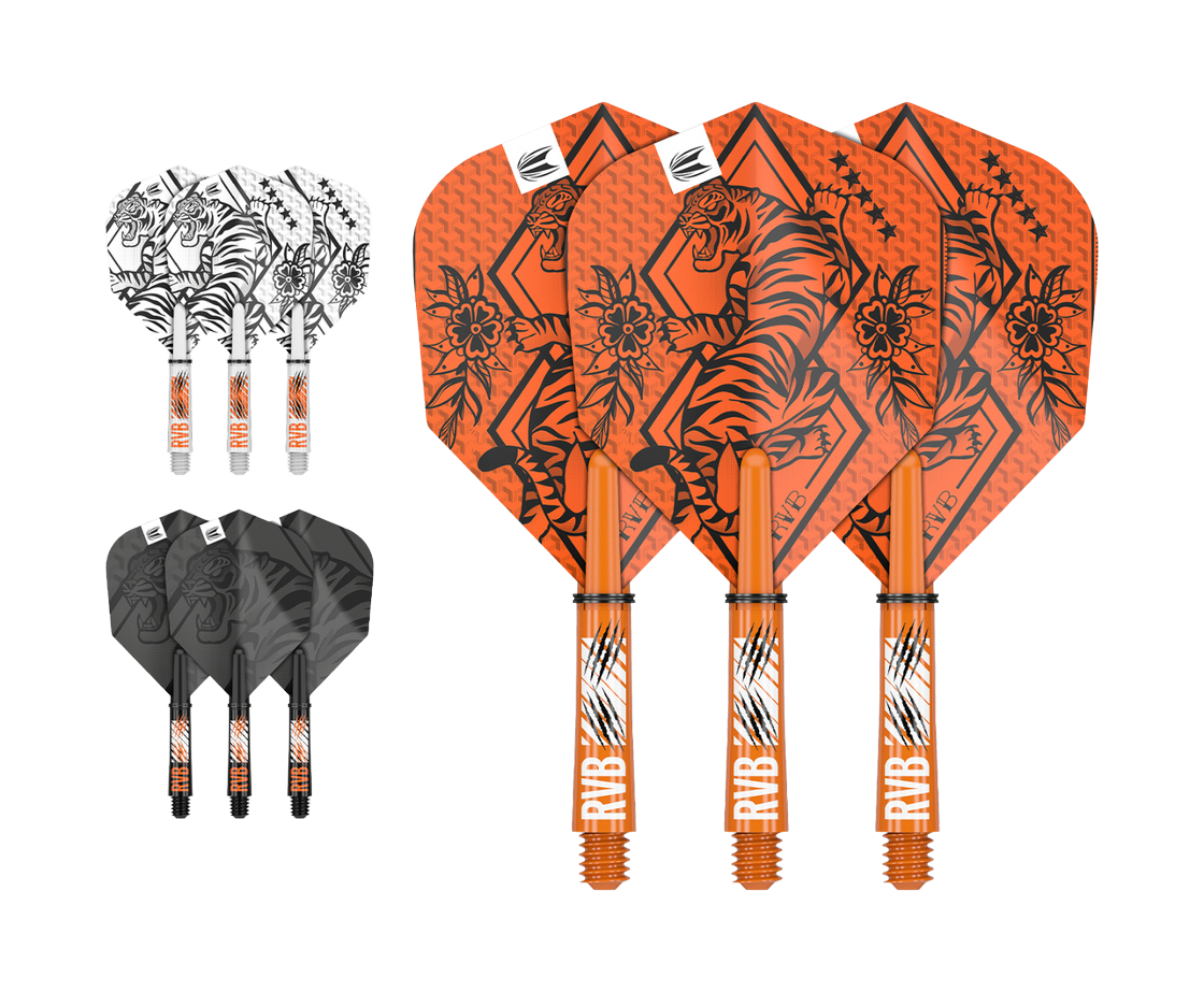 Target - Raymond Van Barneveld Ink No.6 Flight & Shaft Bundle