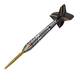 Precise 180 - Ricardo Pietreczko - 90% Tungsten Darts