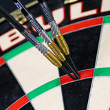 Bull's NL - Dirk Van Duijvenbode - 95% Tungsten Darts (CP)
