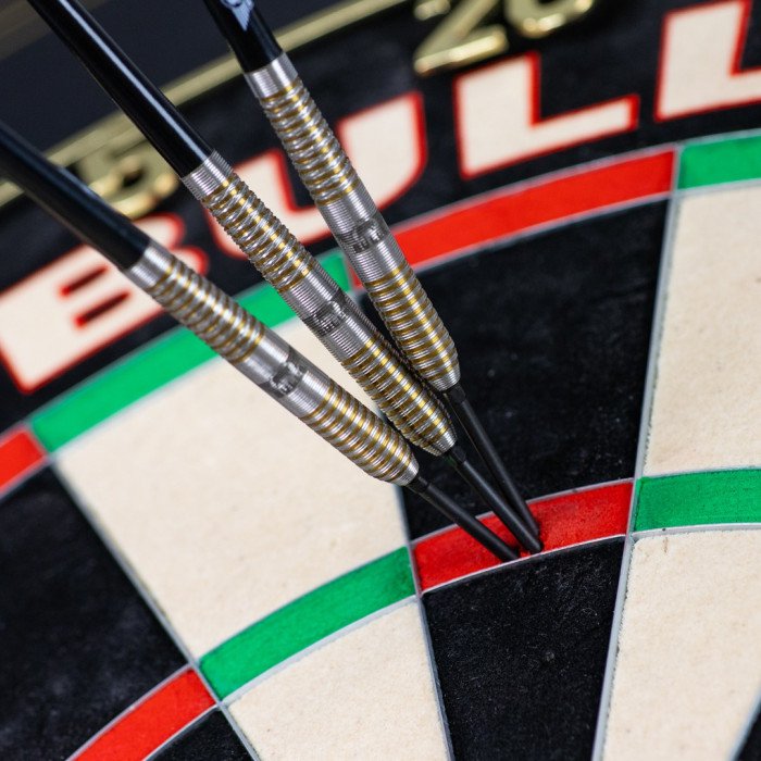 Bull's NL - Vintago Ghost - 90% Tungsten Darts (CP)