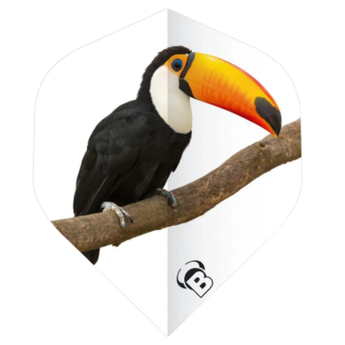 A-shape dart flight with vibrant toucan print, full product view, isolated on white background, ideal for dart equipment buyers