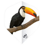 A-shape dart flight with vibrant toucan print, full product view, isolated on white background, ideal for dart equipment buyers