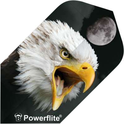 Close-up angled view of slim dart flight featuring eagle graphic and full moon, isolated on dark background