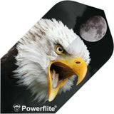 Close-up angled view of slim dart flight featuring eagle graphic and full moon, isolated on dark background