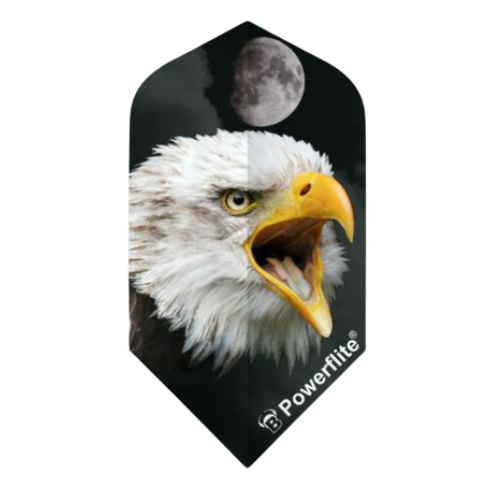 Slim dart flight with eagle and moon graphic, full front view, isolated on white for darts accessories buyers