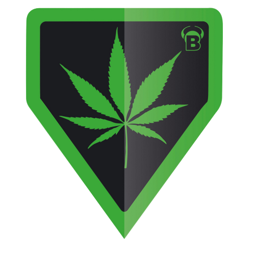 Delta shape dart flight with green border and leaf graphic, single piece, isolated on white background, full product view