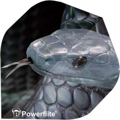 Macro close-up of snake design on No.2 dart flight, highlighting textured scales and eye detail for dart players