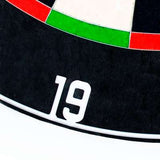 Macro close-up of replacement dartboard number ring showing metal 19 detail with black and colored scoring segments