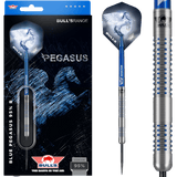 Steel tip tungsten dart in retail packaging and close-up of grooved barrel grip texture for steel tip darts