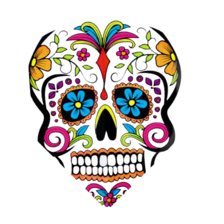 Quadro Coloured Skull No.6 dart flight full view with vibrant skull pattern, isolated on white, highlighting unique flights design