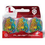 Grey standard L1 dart flights with colorful Buddha design in retail packaging, set of 3, player model for steel tip darts.