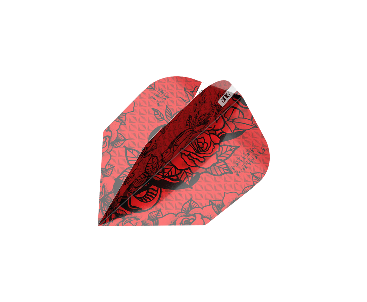 Target - Nathan Aspinall Ink No.6 Flight & Shaft Bundle