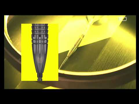 Target - Scott Williams Black - 90% Tungsten Darts (SP)