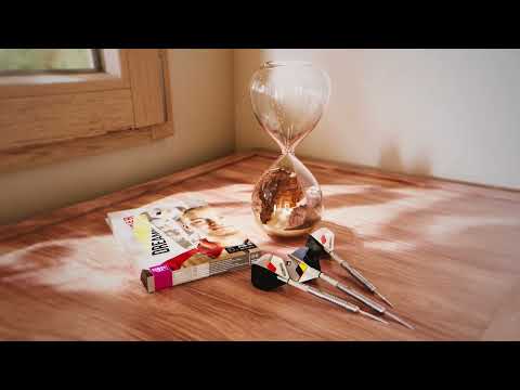 Target - Dimitri Van Den Bergh G2 - 90% Tungsten Darts (SP)