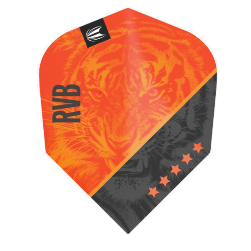 Target Raymond van Barneveld G4 Pro Ultra No.6 dart flight upright on a white background, orange and black design