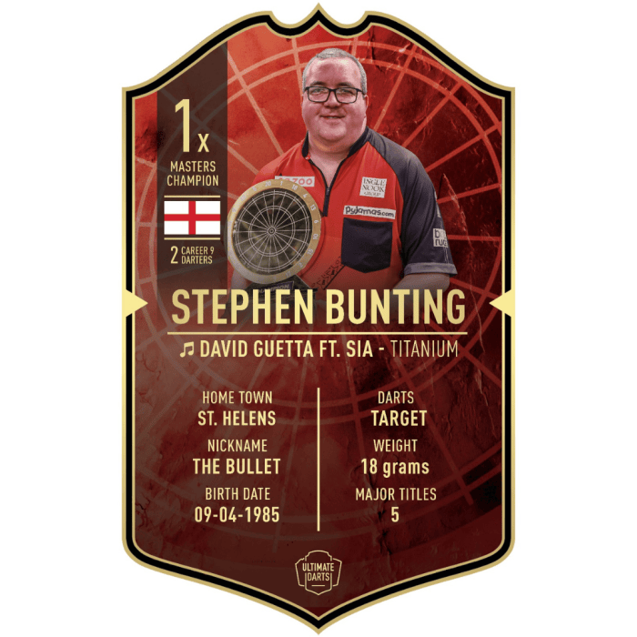 Ultimate Darts - Stephen Bunting Card