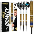 Full view of Ryan Branley 90% tungsten darts set with box, showing gold barrels with blue rings, precision grip, and custom flights.
