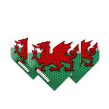 Three Wales Mega Standard dart flights arranged fanned out, showing red Welsh dragon design on green and white, isolated on white